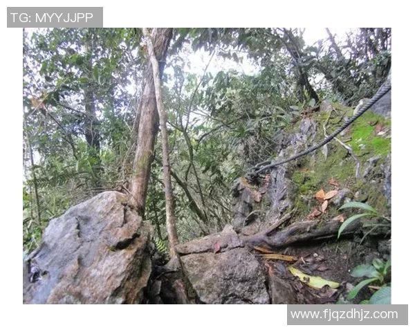 西安攀岩队转型之路探秘：从传统到现代的攀岩竞技新篇章